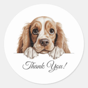 Sticker Rond American Cocker Spaniel mou Chien Merci