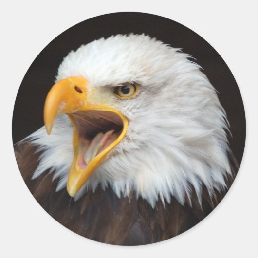 Sticker Rond AMERICAN EAGLE by Jean-Louis Glineur (Devant)