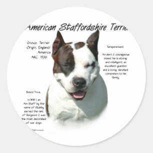 Sticker Rond American Staffordshire Terrier History,