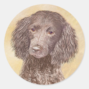 Sticker Rond American Water Spaniel Peinture - Original Dog Art