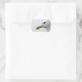 Sticker Rond Amical Seagull ? (Sac)