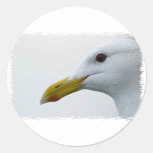 Sticker Rond Amical Seagull ?
