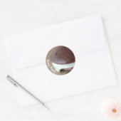 Sticker Rond Amish Whoopie Pie Chocolat (Enveloppe)