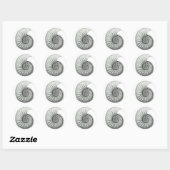 Sticker Rond Ammonite (Feuille)