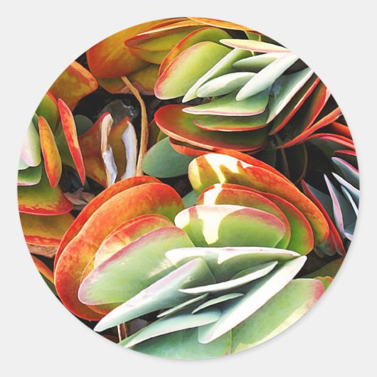 Sticker Rond Amour_ (Devant)