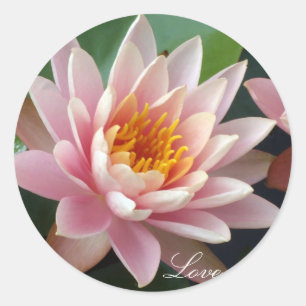 Sticker Rond Amour