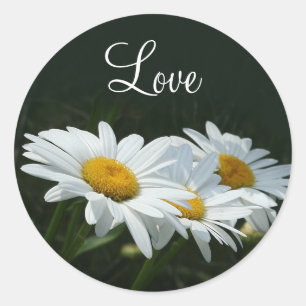 Sticker Rond Amour de marguerites