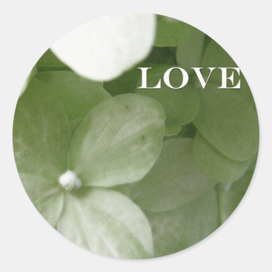 Sticker Rond amour hydrangea (Devant)