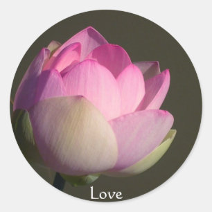 Sticker Rond Amour Lotus