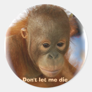 Sticker Rond Amour motivationnel pour toute vie animale