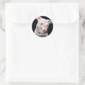 Sticker Rond Amour Pitbull modifiable (Sac)