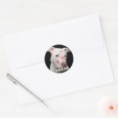 Sticker Rond Amour Pitbull modifiable (Enveloppe)