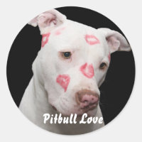 Amour Pitbull modifiable