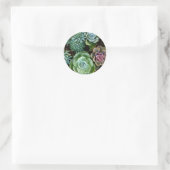Sticker Rond Amour Succulent (Sac)