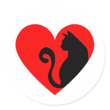 Amoureux des chats