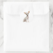 Sticker Rond Amoureux des chiens chiot mignon Funny Chihuahua (Sac)