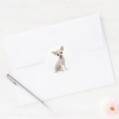 Sticker Rond Amoureux des chiens chiot mignon Funny Chihuahua (Enveloppe)