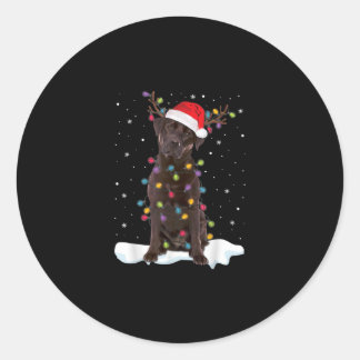 Sticker Rond Amoureux des chiens | Chocolat Labrador Retriever