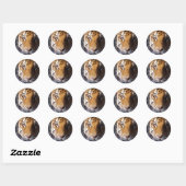Sticker Rond Amur Tiger (Feuille)