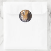 Sticker Rond Amur Tiger (Sac)