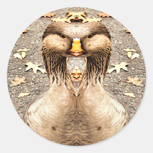 STICKER ROND AMUSEMENT ANIMAL (Devant)