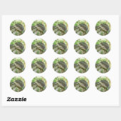 Sticker Rond Anaconda vert (Feuille)