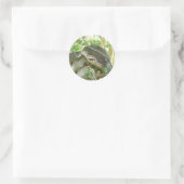 Sticker Rond Anaconda vert (Sac)
