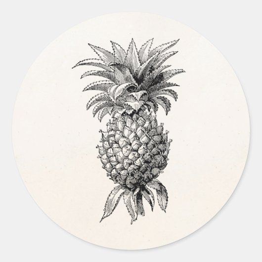 Sticker Rond Ananas vintage des années 1800 (Devant)