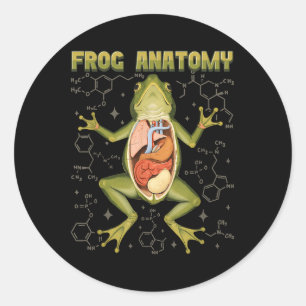 Sticker Rond Anatomie de la grenouille Biologie de la dissectio