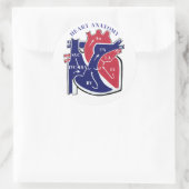 Sticker Rond Anatomie du cœur- (Sac)