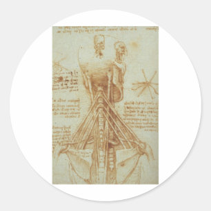 Sticker Rond Anatomie du cou par Leonardo da Vinci C. 1515
