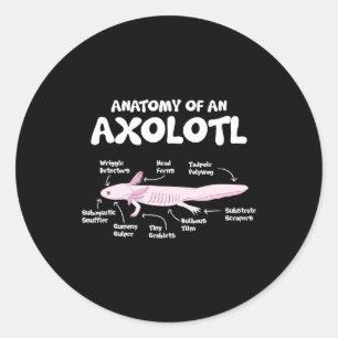 Sticker Rond anatomie d'un axolotl axolotls biologie science