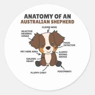 Sticker Rond Anatomie D'Un Berger Australien Chiens Doux