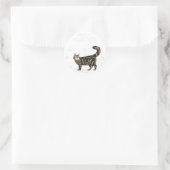 Sticker Rond Anatomie d'un chat-coon du Maine (Sac)