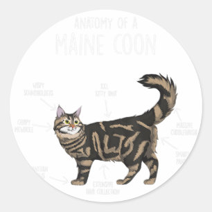 Sticker Rond Anatomie d'un chat-coon du Maine