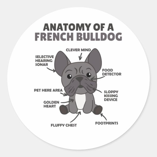 Sticker Rond Anatomie D'Un Chien De Chien De Chien Français Drô (Devant)