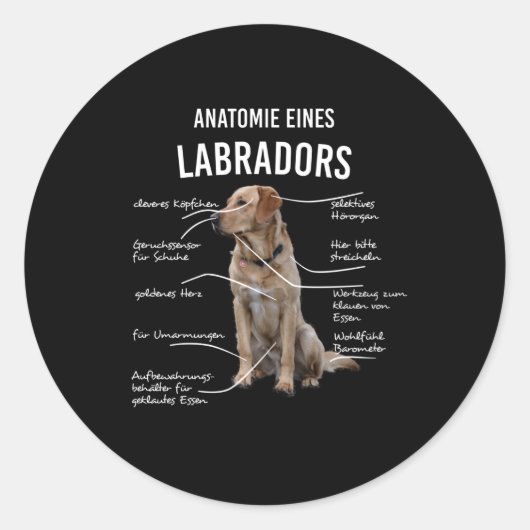 Sticker Rond Anatomie D'Un Chien De Récupérateur Du Labrador Dr (Devant)