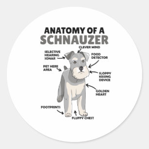 Sticker Rond Anatomie D'Un Chien Migneux Schnauzer Chien Chien