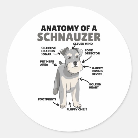 Sticker Rond Anatomie D'Un Chien Migneux Schnauzer Chien Chien  (Devant)