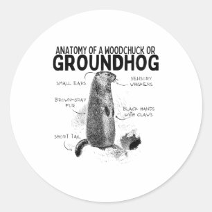 Sticker Rond Anatomie d'un marmotte ou d'un groundhog drôle d'a