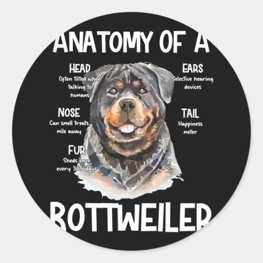Sticker Rond Anatomie d'un Rottweiler pour les amoureux des chi (Devant)