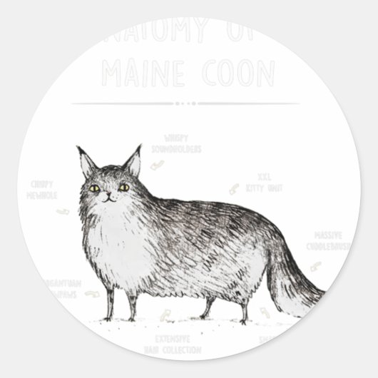Sticker Rond Anatomie D'Une Chemise À Coon Maine Drôle Chat Hum (Devant)