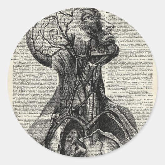 Sticker Rond Anatomie humaine Médicale (Devant)