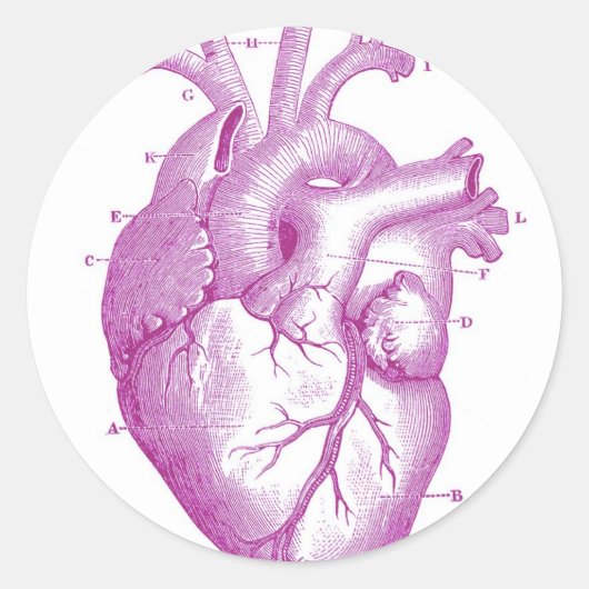 Sticker Rond Anatomie Vintage du coeur pourpre (Devant)