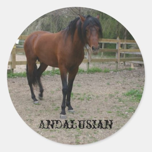 Sticker Rond andalou (Devant)