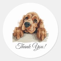 Anglais Cocker Spaniel Chien Merci