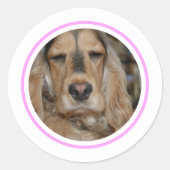 Sticker Rond Anglais Cocker Spaniel minimal moderne (Devant)