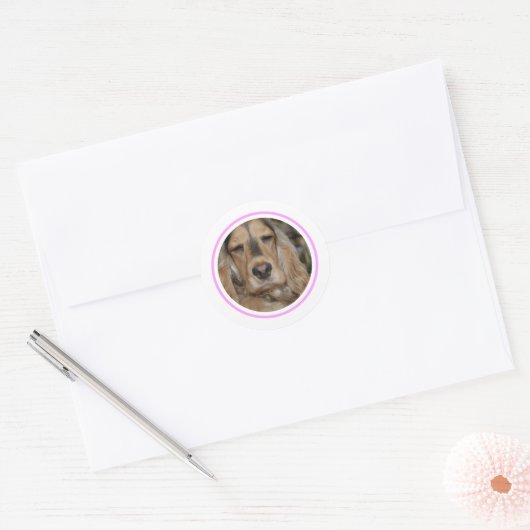 Sticker Rond Anglais Cocker Spaniel minimal moderne (Enveloppe)