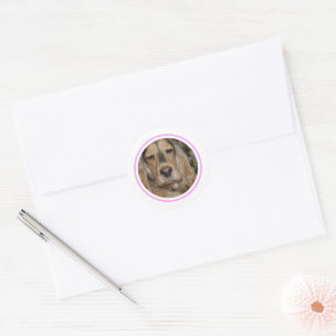 Sticker Rond Anglais Cocker Spaniel minimal moderne