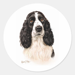 Sticker Rond Anglais Springer Spaniel
